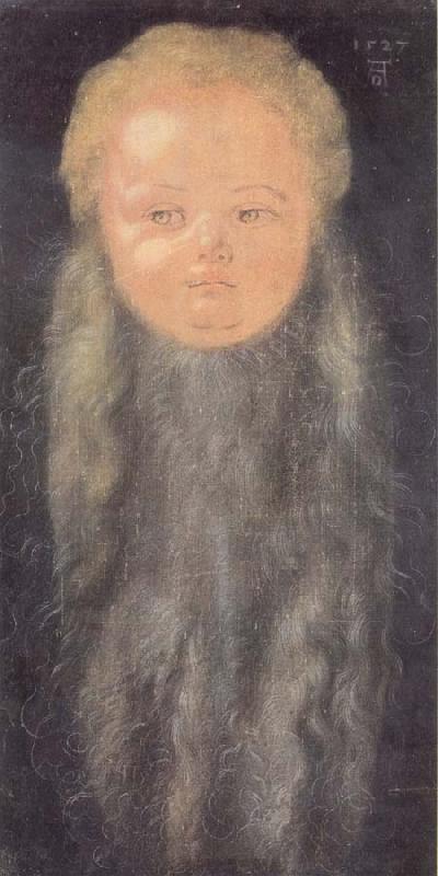 Albrecht Durer Portrait of a boy with a long beard oil painting image